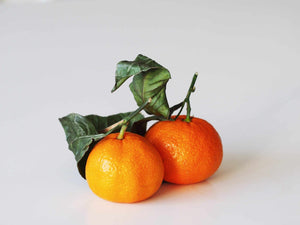 Florida Mandarin Oranges
